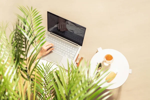 Kobieta Freelancer Laptopem Siedzi Pod Gałęziami Palmy Okulary Przeciwsłoneczne Sok — Zdjęcie stockowe