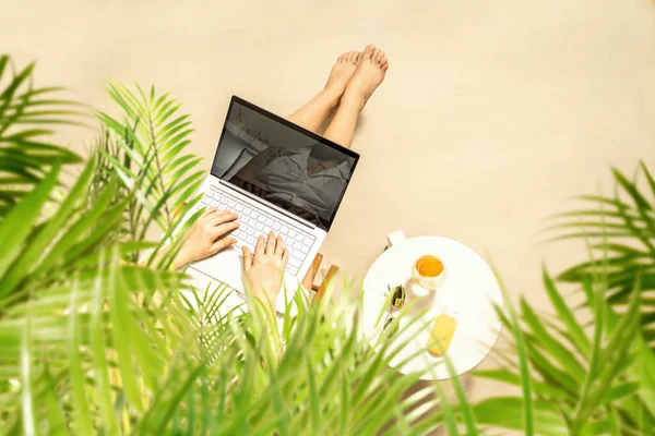 Kvinde Freelancer Med Laptop Sidder Palme Grene Solcreme Solbriller Appelsinjuice - Stock-foto