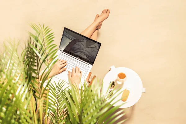 Kvinde Freelancer Med Laptop Sidder Palme Grene Solcreme Solbriller Appelsinjuice - Stock-foto