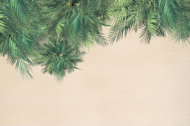 Tropikal kumsal ve palmiye ağaçlarının üst ve hava manzarası. Uzayı kopyala Drone fotoğrafı. Arkaplan