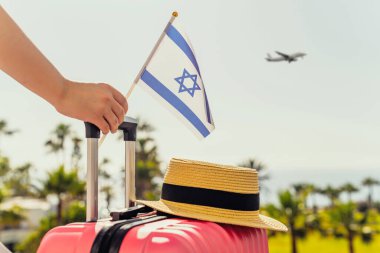 Pembe valizli, şapkalı ve İsrail bayrağı taşıyan kadın yolcu merdiveninde duruyor ve palmiye ağaçlarıyla deniz kıyısının karşısındaki uçaktan iniyor.. 