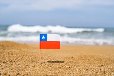 Deniz dalgasının karşısındaki kumsalda kürdan şeklinde Şili bayrağı. Seyahat kavramı