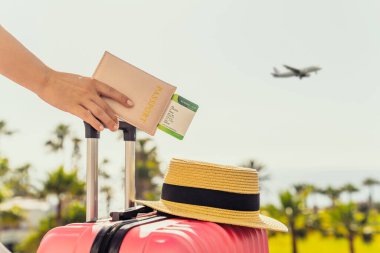 Pembe valizli ve pasaportlu bir kadın, yolcu kartı ile denizin karşısındaki palmiye ağaçlarıyla dolu bir uçağın merdiveninde duruyor. Turizm konsepti