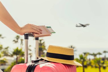 Pembe valizli ve pasaportlu bir kadın, yolcu kartı ile denizin karşısındaki palmiye ağaçlarıyla dolu bir uçağın merdiveninde duruyor. Turizm konsepti