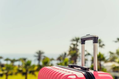 Pembe yolcuların bavulları deniz kıyısında palmiye ağaçlarıyla dolu bir merdiven uçağında. Turizm konsepti