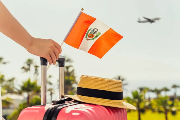 ピンクのスーツケースを持つ女性 乗客のはしごに立っている帽子とペルーのフラグとヤシの木と反対側の海の海岸線の飛行機から抜け出す — ストック写真