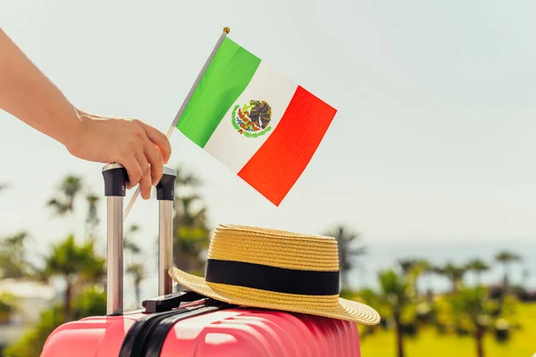 提着粉红手提箱 帽子和墨西哥国旗的女人站在乘客梯上 从与棕榈树相望的海岸线对面的飞机上走下 — 图库照片
