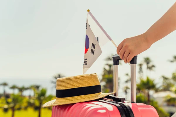 Femme Avec Valise Rose Chapeau Drapeau Sud Coréen Debout Sur — Photo