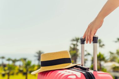 Pembe bavulu ve plaj şapkası olan bir kadın yolcu merdiveninde dikiliyor ve deniz kıyısında palmiye ağaçlarıyla uçaktan iniyor. Turizm konsepti