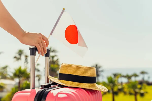 Femme Avec Valise Rose Chapeau Drapeau Japon Debout Sur Échelle — Photo