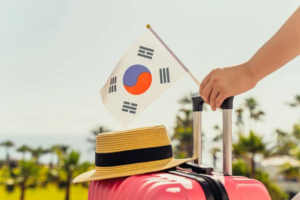 Femme Avec Valise Rose Chapeau Drapeau Sud Coréen Debout Sur — Photo