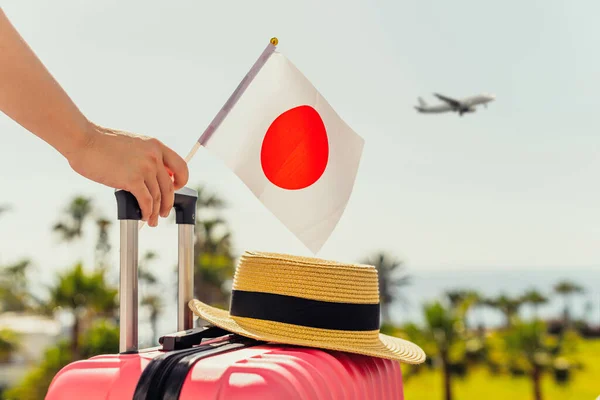 Femme Avec Valise Rose Chapeau Drapeau Japon Debout Sur Échelle — Photo