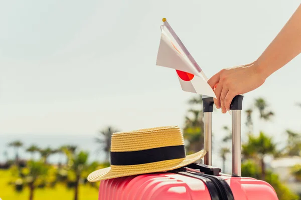 Femme Avec Valise Rose Chapeau Drapeau Japon Debout Sur Échelle — Photo