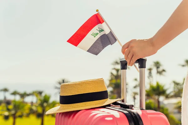 Femme Avec Valise Rose Chapeau Drapeau Irakien Debout Sur Échelle — Photo