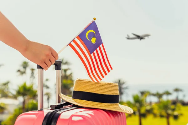 ピンクのスーツケースを持つ女性 乗客のはしごに立って帽子とマレーシアのフラグとヤシの木と反対側の海の海岸線の飛行機から抜け出す — ストック写真