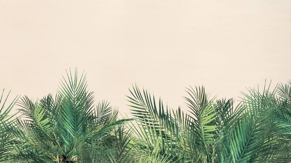 Top Aerial View Tropical Sand Beach Palm Tree Copy Space — Stock Photo, Image