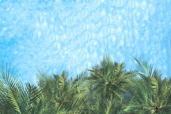 Голубая Прозрачная Водная Поверхность Океана Моря Лагуны Пальмами Горизонтальный Фон — стоковое фото