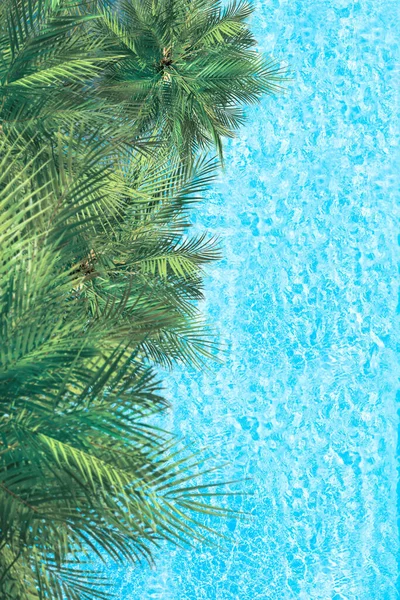 Голубая Прозрачная Водная Поверхность Океана Моря Лагуны Пальмами Вертикальный Фон — стоковое фото