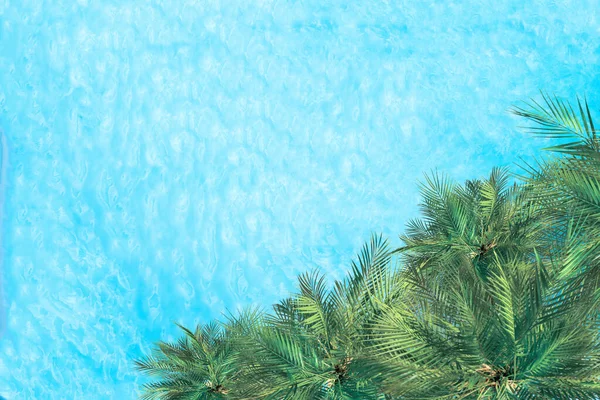 Вид Сверху Бассейн Пальмы Беспилотника Летний Роскошный Отель — стоковое фото