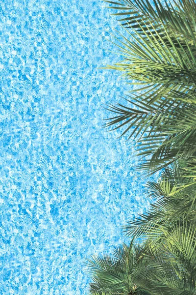 Голубая Прозрачная Водная Поверхность Океана Моря Лагуны Пальмами Вертикальный Фон — стоковое фото