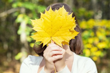 Güzel, mutlu, genç bir kadın sonbahar parkında sarı akçaağaç yapraklarıyla yüzünü kapatıyor.