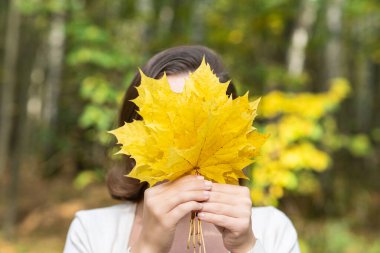 Güzel, mutlu, genç bir kadın sonbahar parkında sarı akçaağaç yapraklarıyla yüzünü kapatıyor.