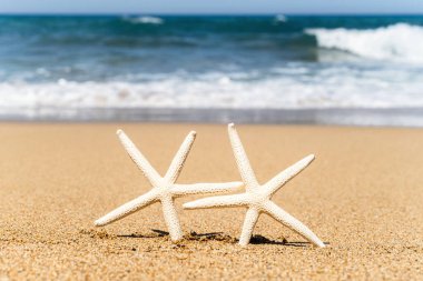 Deniz suyu geçmişi olan kumsalda iki denizyıldızı turisti. Çift tatil kavramı