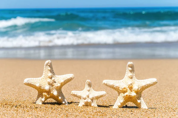 Three Starfish Tourists Sand Beach Sea Water Background Family Vacation — Stock Photo, Image