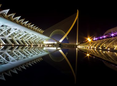 Valencia ciutat de les arts i les ciències