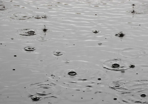 Lluvias de verano con gotas de lluvia individuales en la superficie del agua —  Fotos de Stock
