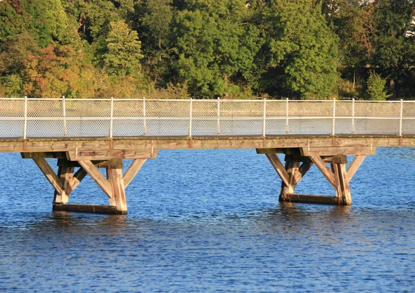Низкий мост через голубую воду с лесом на заднем плане — стоковое фото