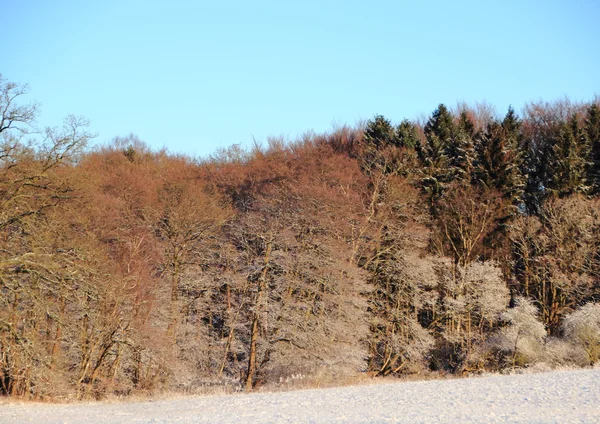 Paysage hivernal enneigé avec champ enneigé et forêt — Photo