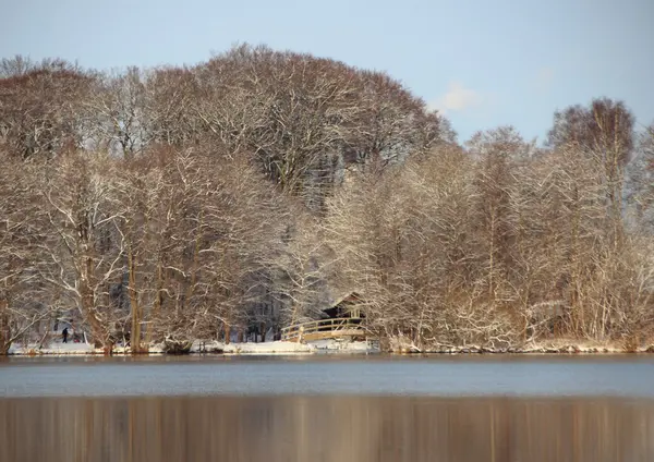 Winter forest and lake with snow and house at shore — Stock Photo, Image