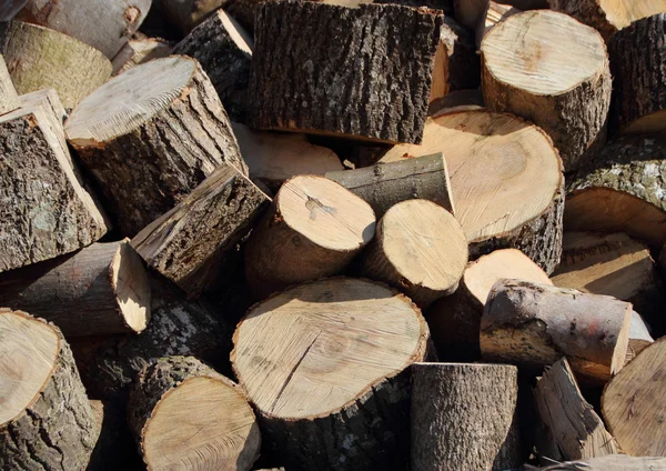 Pile of Chopped Cut Trunk Firewood in disorder — Stock Photo, Image