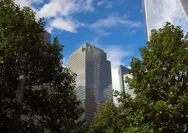 Nature Abstract in Urban Skyscraper Environment — Stock Photo, Image