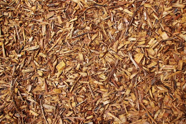 Świeże drewno brązowy chipy w widok z lotu ptaka — Zdjęcie stockowe