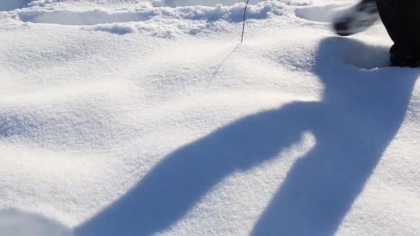 Een jongen met een hond aan de lijn loopt door diepe sneeuw. — Stockvideo