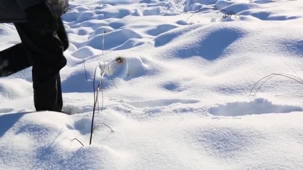 Op een winterdag na een sneeuwval loopt een man door de sneeuw. — Stockvideo