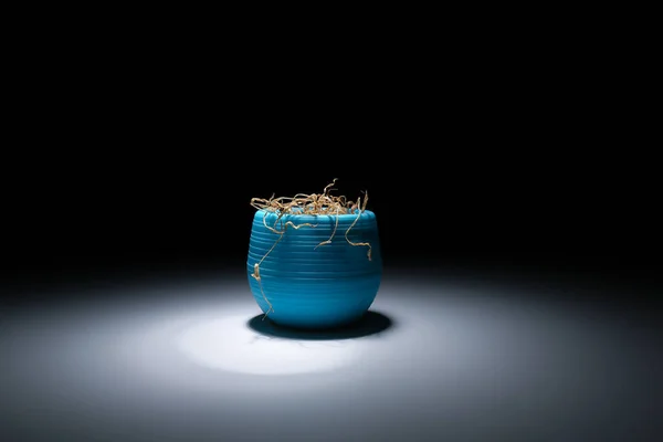 Dried Flower Turquoise Pot Dark Sanctifies White Bright Light Dead Stock Photo