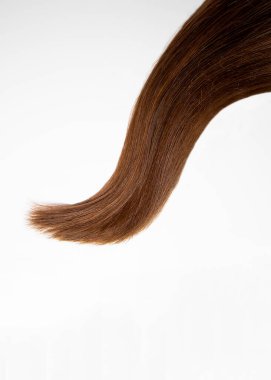 Uzun, kalın bir tutam saç. Beyaz bir arka planda doğal bir kadın saçı. Saç bakımı.