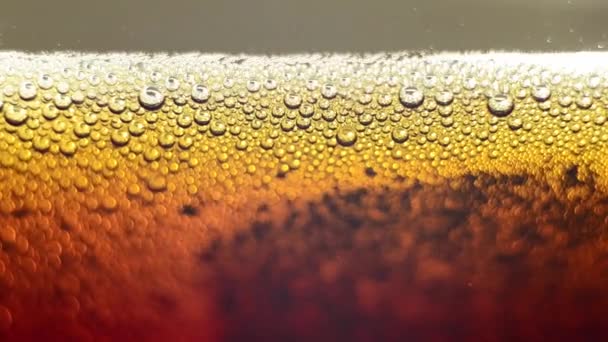 Beer is poured in a transparent mug. Or in a clear glass of kvass with bubbles. — Stock Video