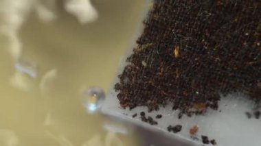 Şeffaf bir fincanda bir çay poşeti suyla doludur. Yakın plan.. 