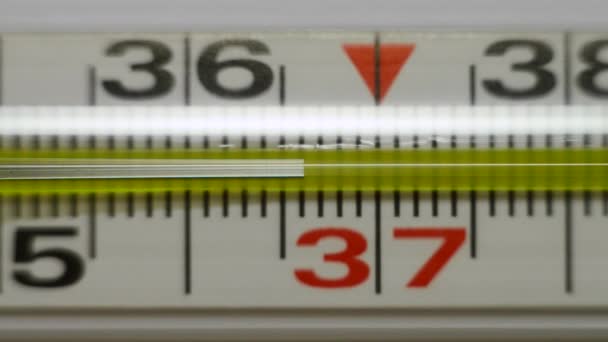 The mercury thermometer shows an increase in body temperature. — Stock Video