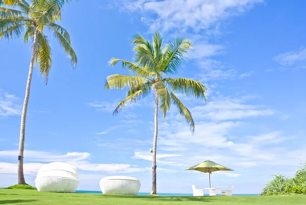 沙滩伞和日光浴席位在位于斯里兰卡 Negambo 滨海热带海滩酒店 — 图库照片
