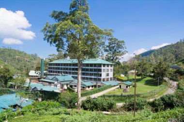 Mackwoods labookellie çay fabrikası ve çay Merkezi, Sri lanka