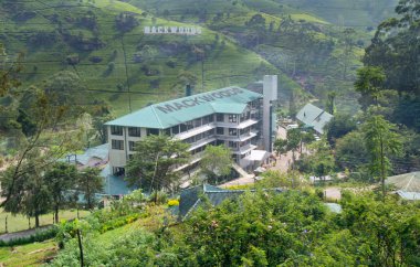 Mackwoods labookellie çay fabrikası ve çay Merkezi, Sri lanka