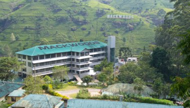 Mackwoods labookellie çay fabrikası ve çay Merkezi, Sri lanka