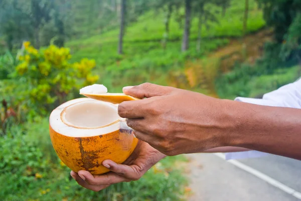 King Coconut — Stock Photo, Image