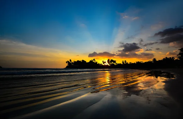 Красивый тропический пляж на Шри-Ланке — стоковое фото
