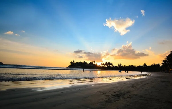 Tropisch strand in sri lanka Stockafbeelding